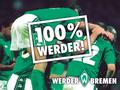 Foto: Nordische Tanne!