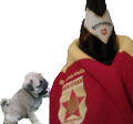 Foto: Biermöpschen