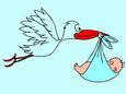 Foto: Storch